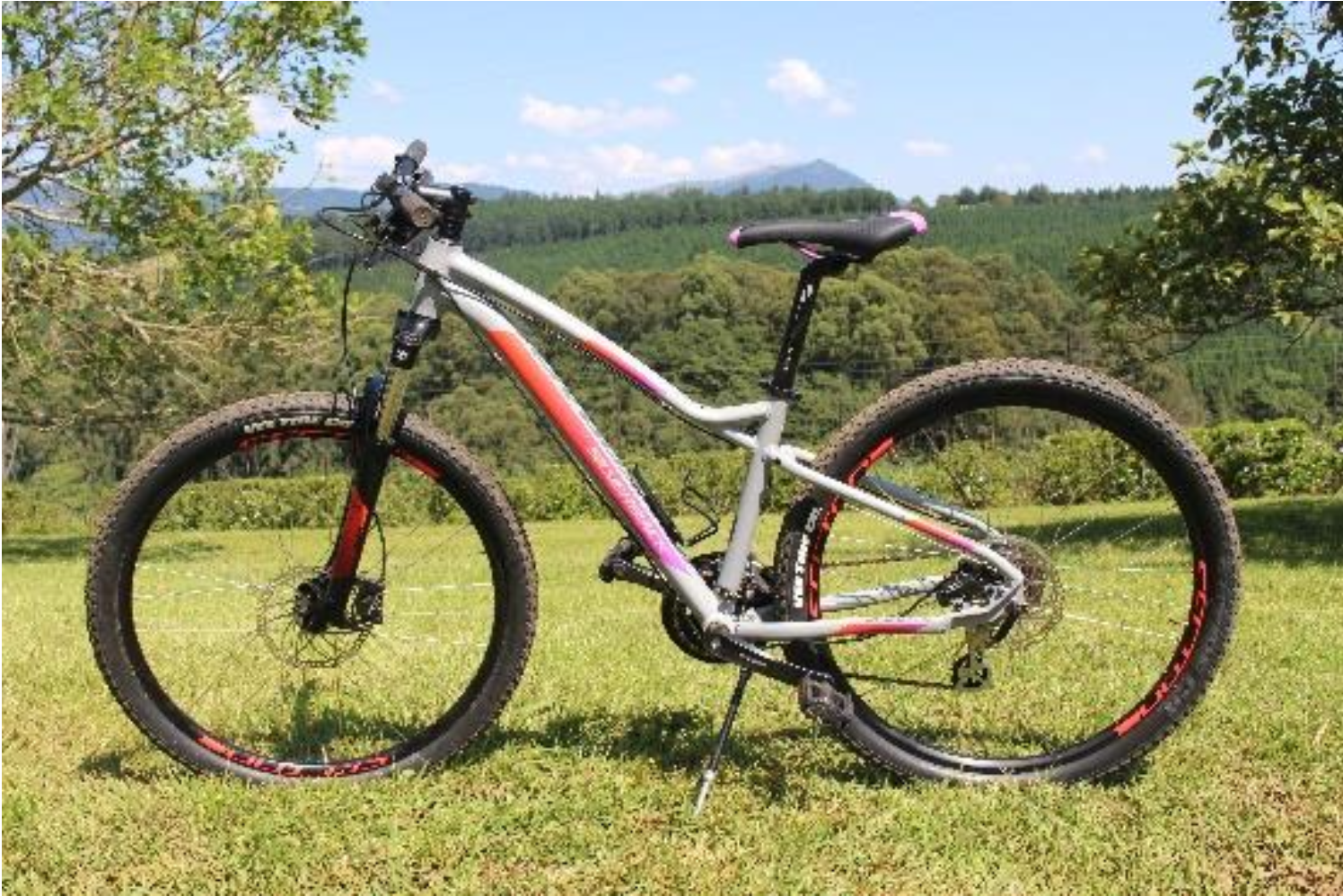 Silverback Splash 2 2018 and 2019 (27.5”-wheel size)